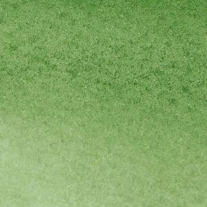 Winsor & Newton Promarker Aquarellmarker hookers green