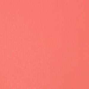 Liquitex Basics Acrylfarbe 118ml pink