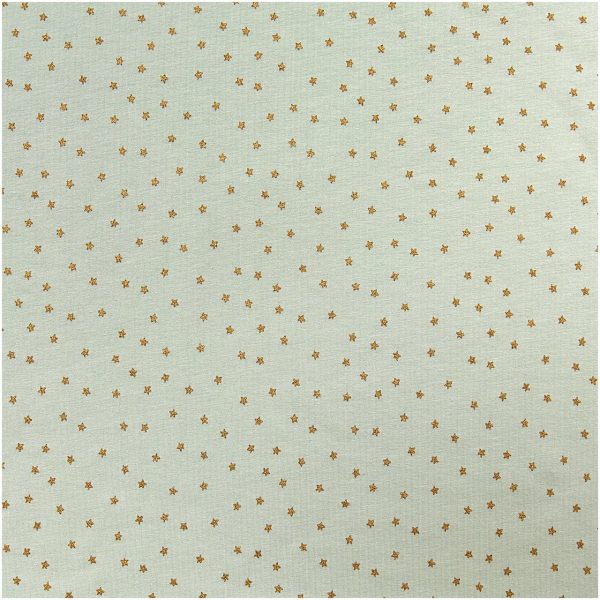 Rico Design Jerseystoff Baby Collection Sterne mint-gold 145cm