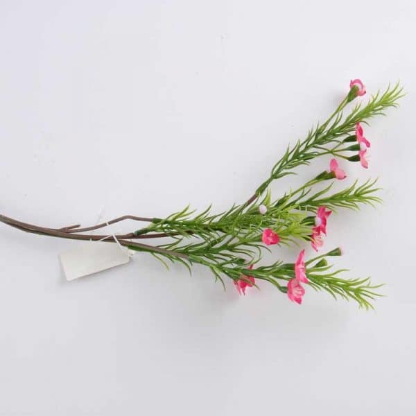 Waxflower pink 38cm