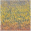 Wolle Rödel Strumpfwolle Color Fashion 50g 95m retro
