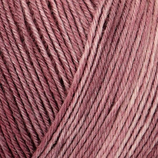 REGIA Premium Silk Color 4fädig 100g 400m feige color