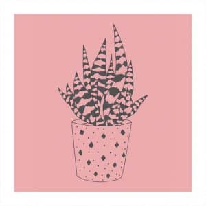 May&Berry Stempel Aloe Vera rosa 35x45mm