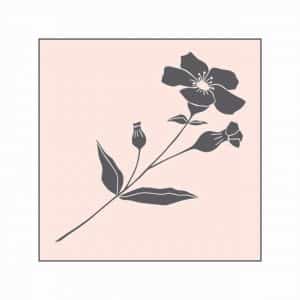 May&Berry Stempel Wildblume nude 45x45mm