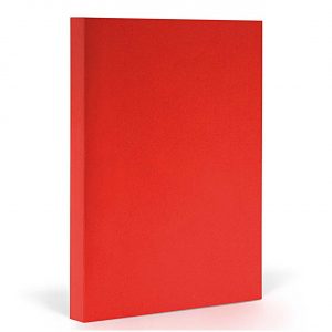 FANTASTICPAPER Notizbuch A5 liniert cherry-silver