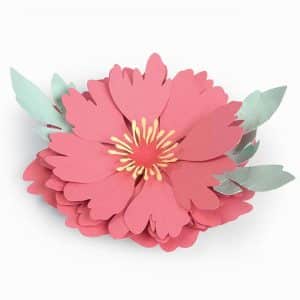 Sizzix Thinlits Die Set Peony by Courtney Chilson