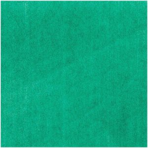 Rico Design Seidenpapier 50x70cm 5 Bogen grün