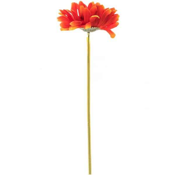 Gerbera 52cm orange