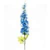 Rittersporn blau 75cm