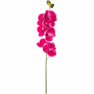 Orchidee Phaleanopsis pink 75cm