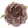 Rosenblüte am Clip 10