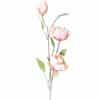 Magnolie mit 3 Blüten rosa 65cm