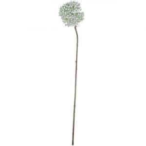 Allium weiß-grün 55cm