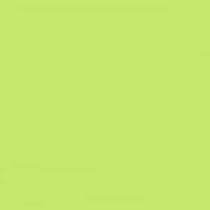 Tombow IROJITEN Farbstift neon green