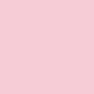 Tombow IROJITEN Farbstift cameo pink