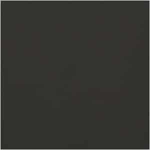 folia Plakatkarton 48x68cm 380g/m² schwarz