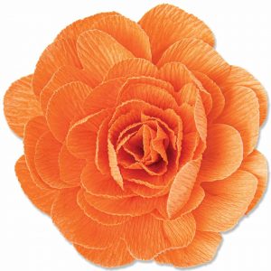 Sizzix Thinlits Die Set Pom-Pom Flower by Olivia Rose