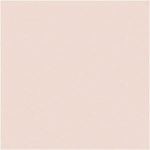 Paper Poetry Seidenpapier 50x70cm 17g/m² 5 Bogen puder