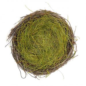 Ohhh! Lovely! Naturnest mit Ostergras 20cm